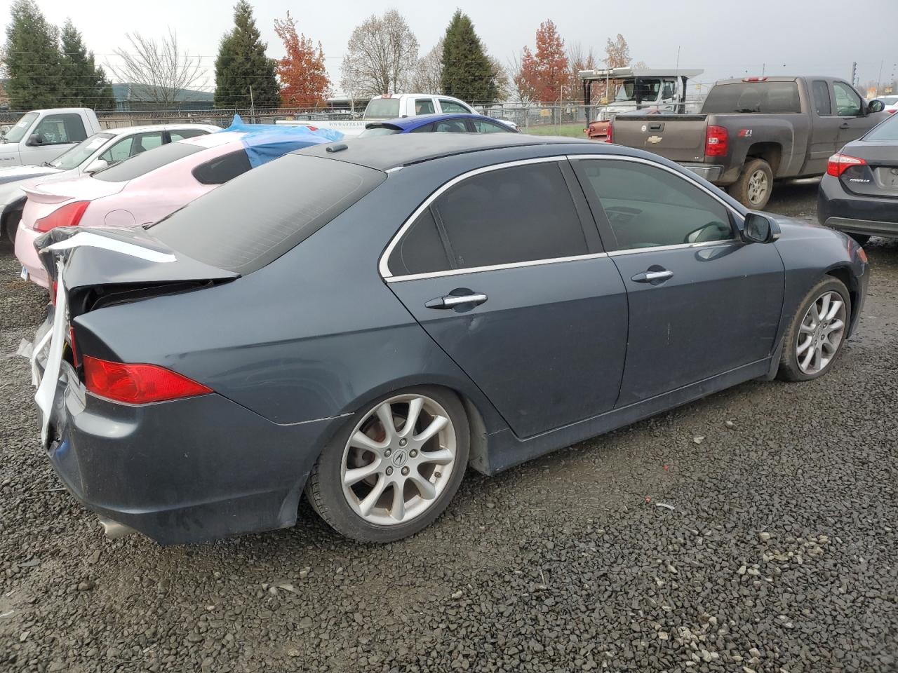 Image 3 of 2008 ACURA TSX  2008 with VIN JH4CL96828C003447