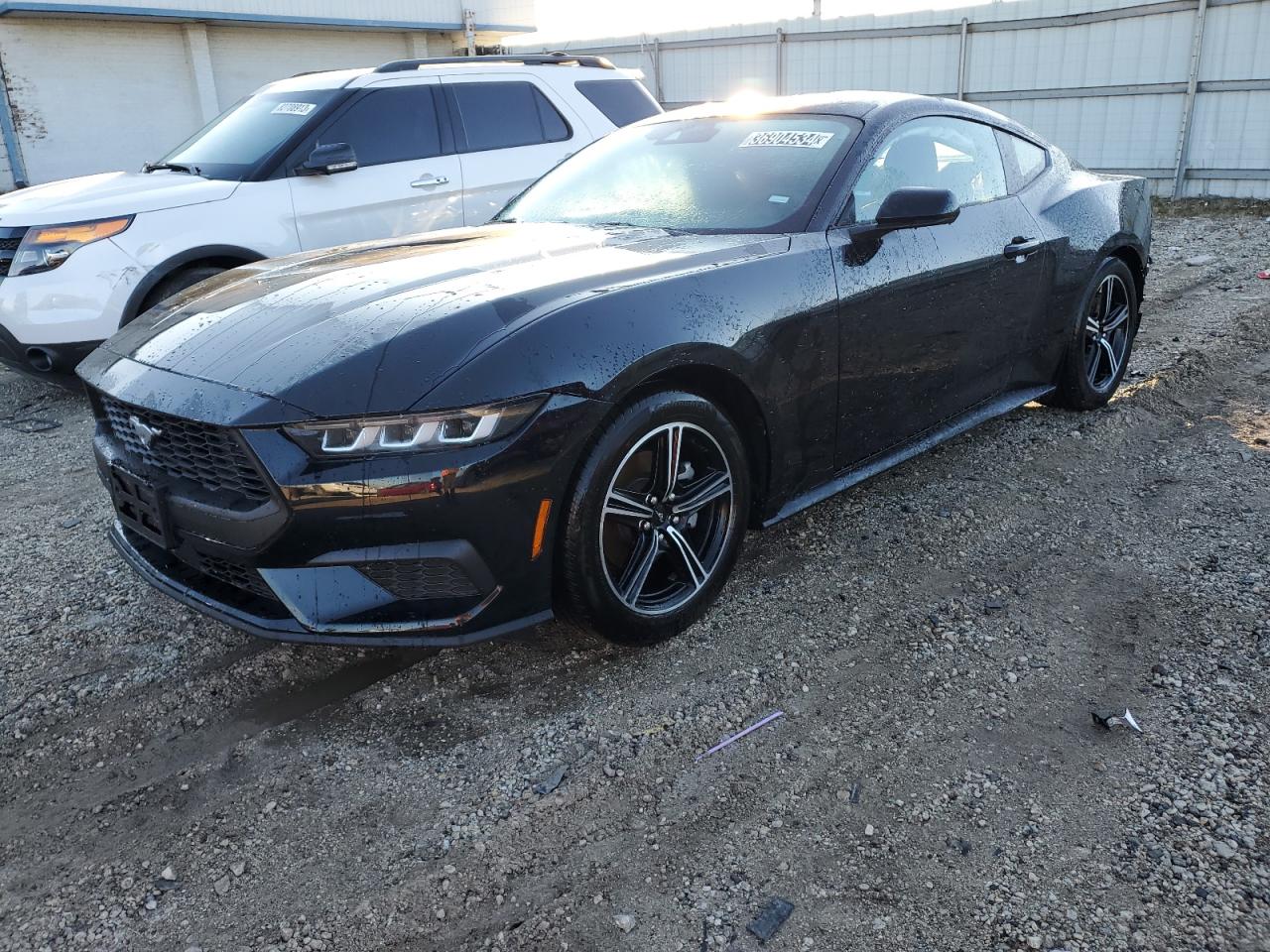 Изображение 1 2024 FORD MUSTANG  2024 с VIN 1FA6P8TH1R5107148