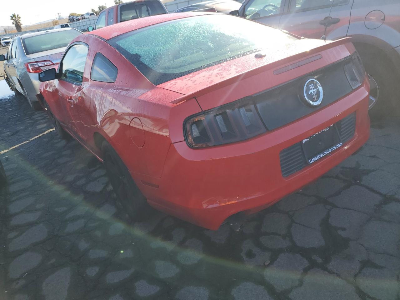 Изображение 2 2014 FORD MUSTANG  2014 с VIN 1ZVBP8AM9E5201178