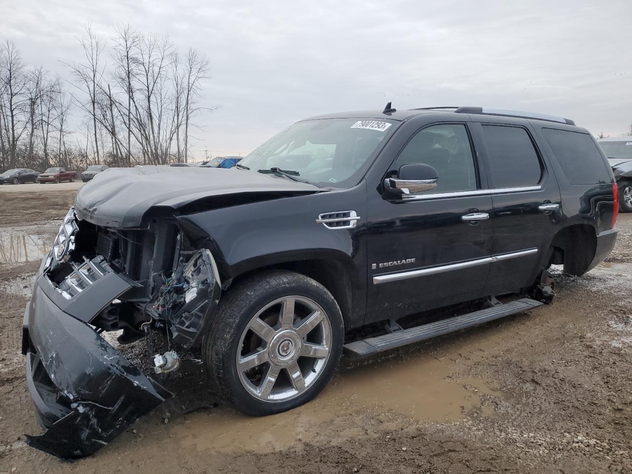 Obraz 2008 CADILLAC ESCALADE LUXURY 2008
