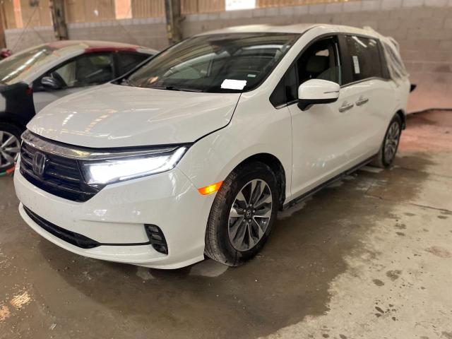 Image 2 of 2023 HONDA ODYSSEY EXL 2023 with VIN 5FNRL6H64PB040216