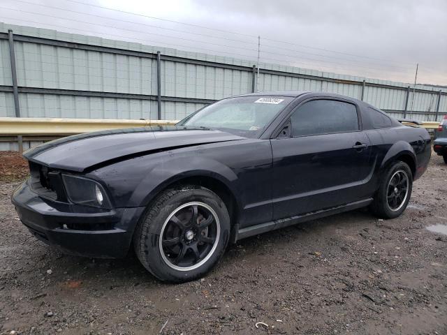 Изображение 1 2005 FORD MUSTANG  2005 с VIN 1ZVFT80N955250632