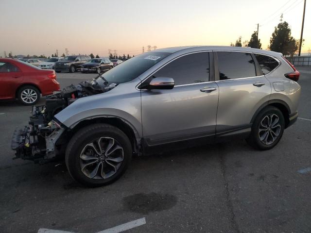 2020 HONDA CR-V EX 2020 image