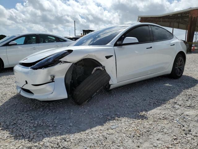 2023 TESLA MODEL 3  2023 image