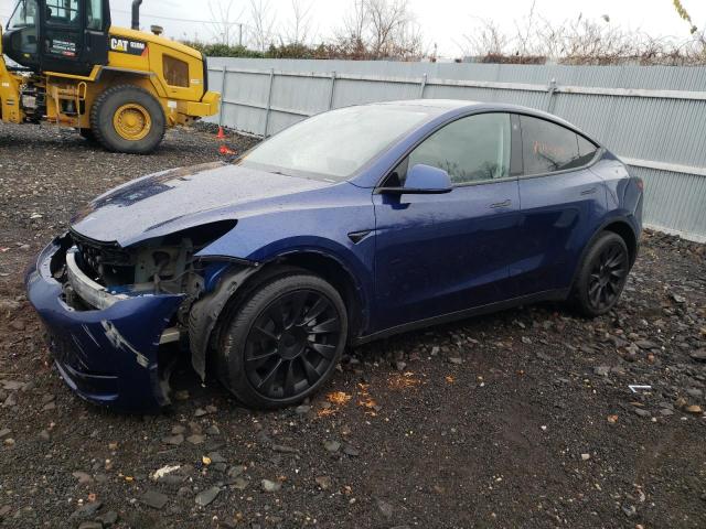 2023 TESLA MODEL Y  2023 image