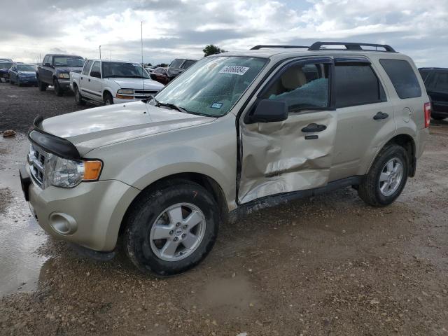 2012 FORD ESCAPE XLT 2012 image