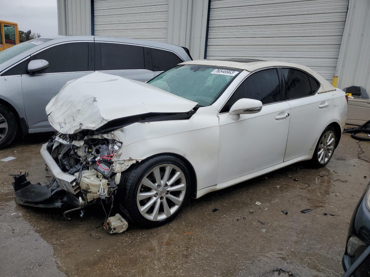 2009 LEXUS IS 250 2009 image
