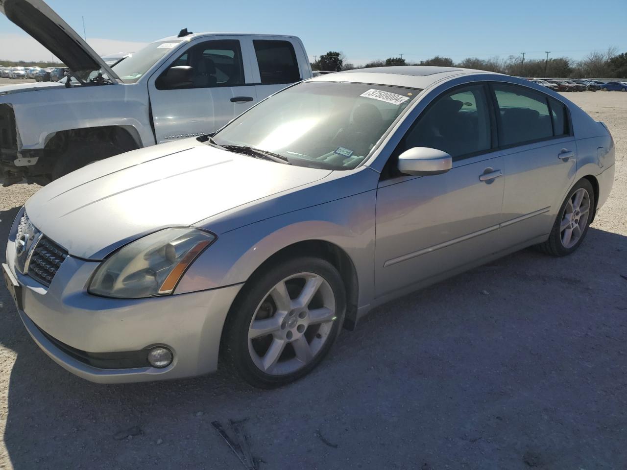 2006 NISSAN MAXIMA SE 2006 image