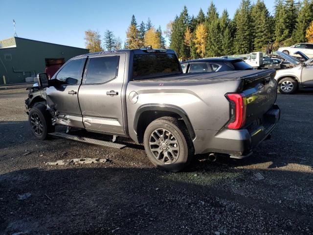 Изображение 2 2022 TOYOTA TUNDRA CREWMAX PLATINUM 2022 с VIN 5TFNA5DBXNX052021