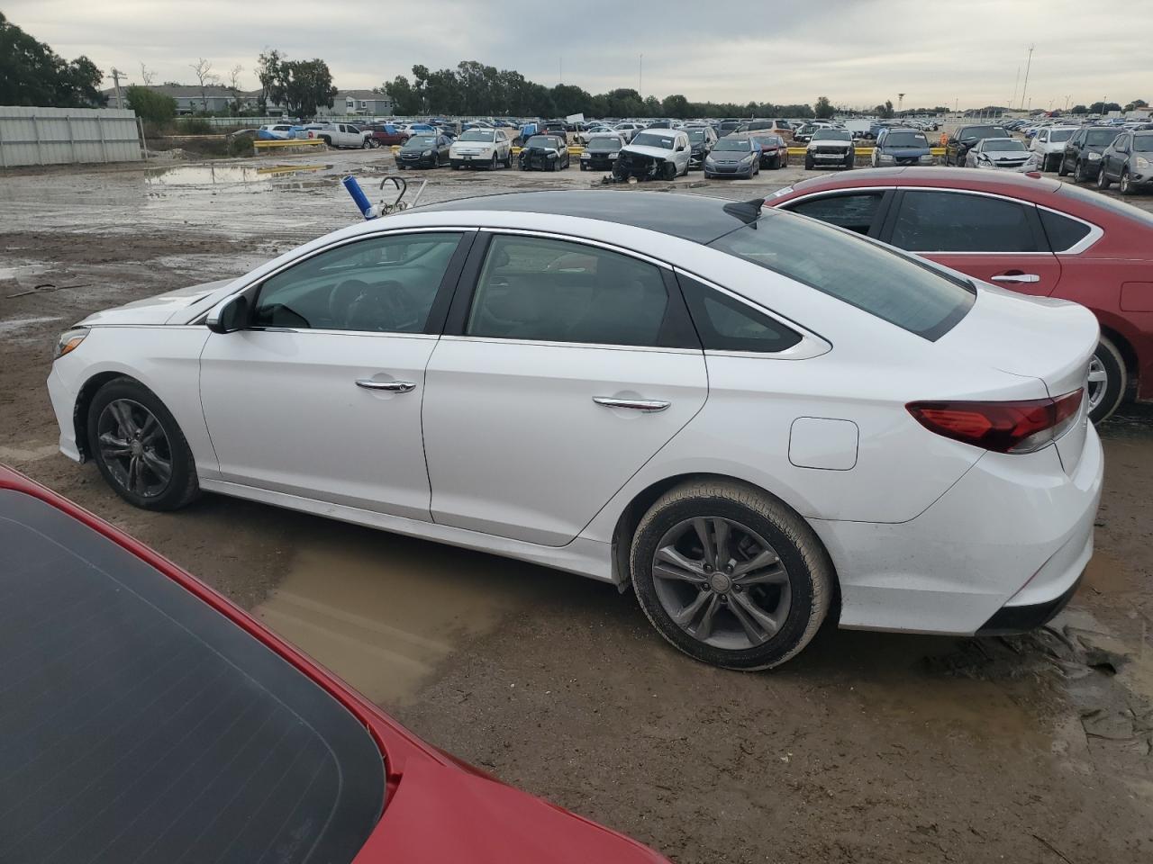 Obraz 2 z 2018 HYUNDAI SONATA SPORT 2018 z VIN 5NPE34AF9JH689094