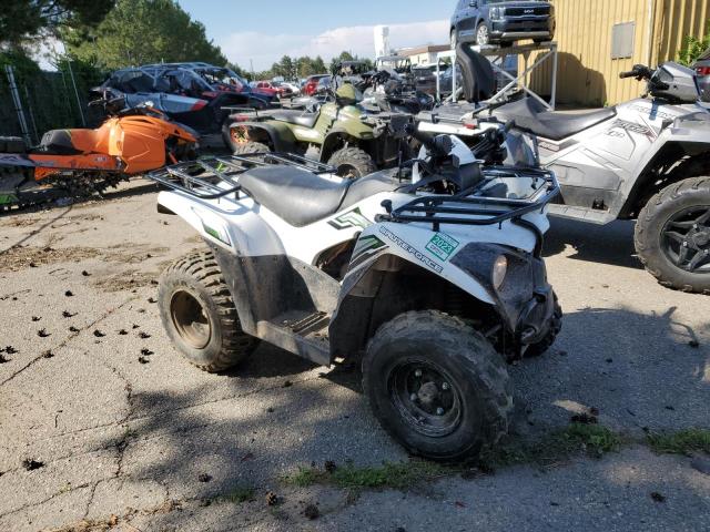 2015 KAWASAKI KVF300  2015 image