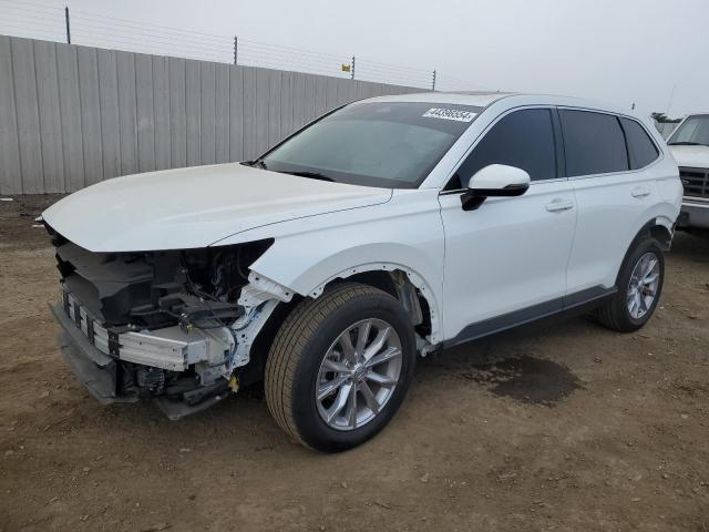 2023 HONDA CR-V EXL 2023 image