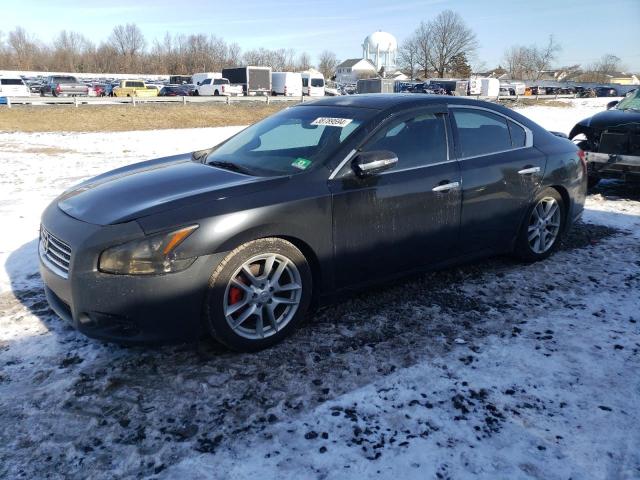 2010 NISSAN MAXIMA S 2010 image