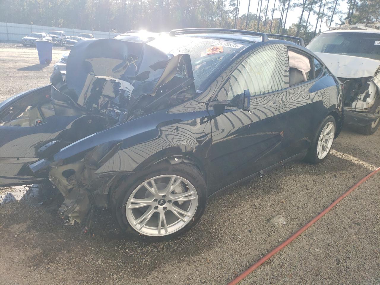 2023 TESLA MODEL Y  2023 image