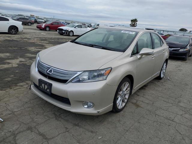 2011 LEXUS HS 250H 2011 image