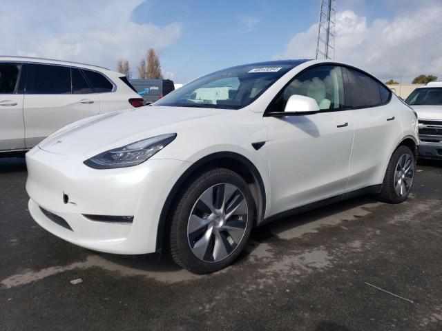 2021 TESLA MODEL Y  2021 image