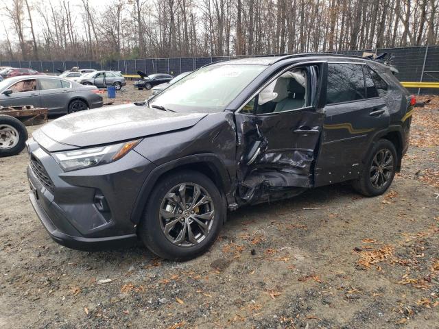 Image 1 of 2023 TOYOTA RAV4 XLE PREMIUM 2023 with VIN JTMB6RFV3PD098541