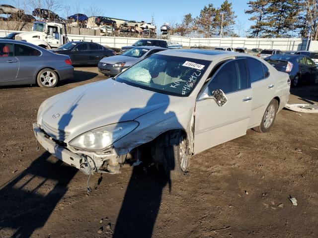 2002 LEXUS ES 300 2002 image
