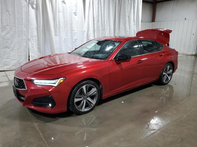 Obraz 2021 ACURA TLX ADVANCE 2021