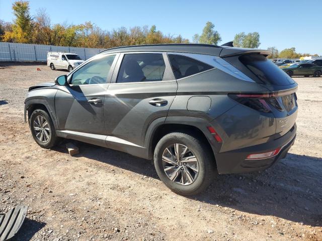 Изображение 2 2022 HYUNDAI TUCSON BLUE 2022 с VIN KM8JBCA15NU012020