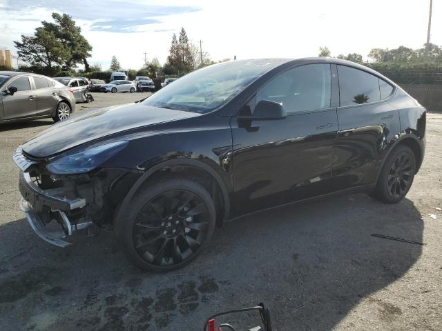 2023 TESLA MODEL Y  2023 image