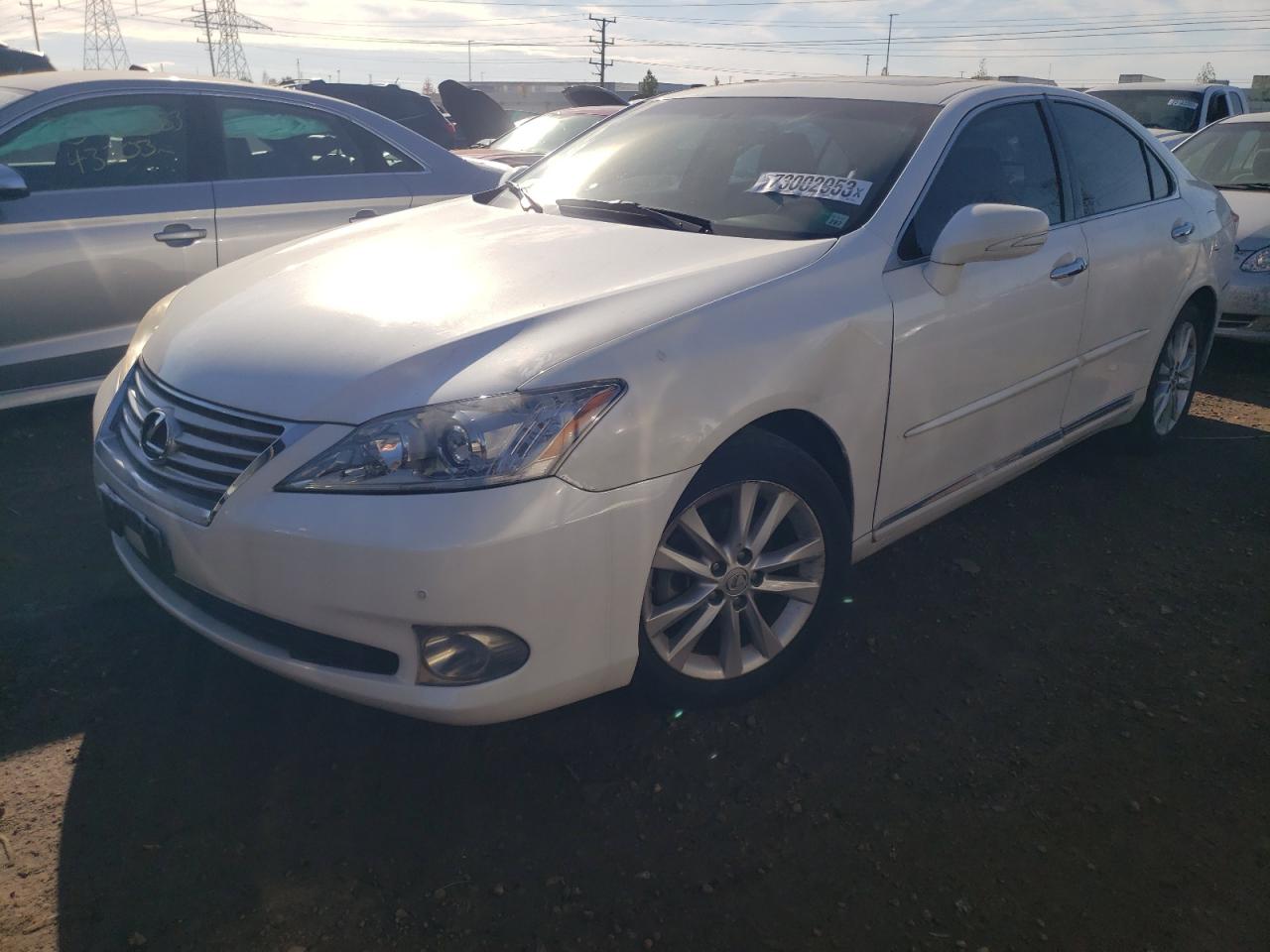 Obraz 2010 LEXUS ES 350 2010