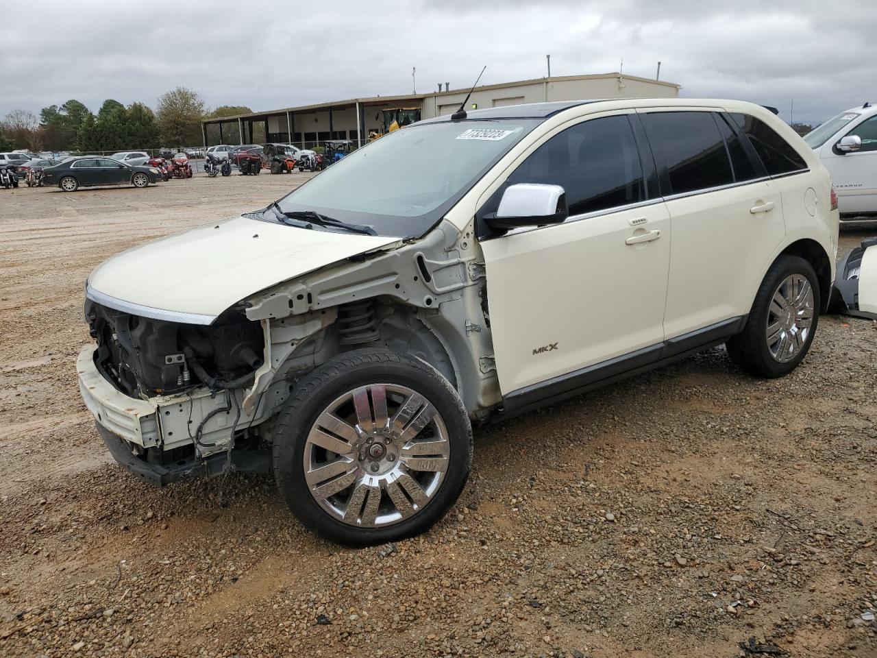 Obraz 2008 LINCOLN MKX  2008