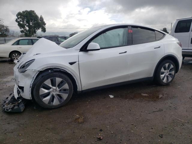 2023 TESLA MODEL Y  2023 image