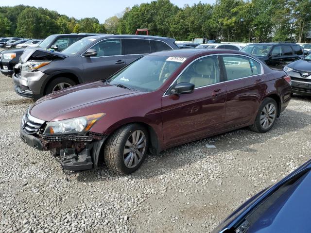 Image 1 of 2011 HONDA ACCORD EXL 2011 with VIN 1HGCP2F8XBA101112
