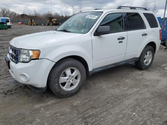 Obraz 1 z 2010 FORD ESCAPE XLT 2010 z VIN 1FMCU0DG0AKA68695