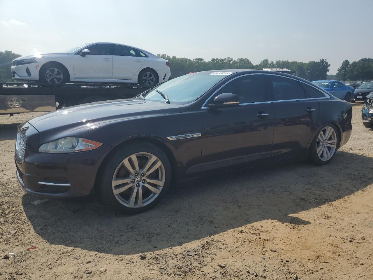 Изображение 1 2011 JAGUAR XJ  2011 с VIN SAJWA1CBXBLV08439