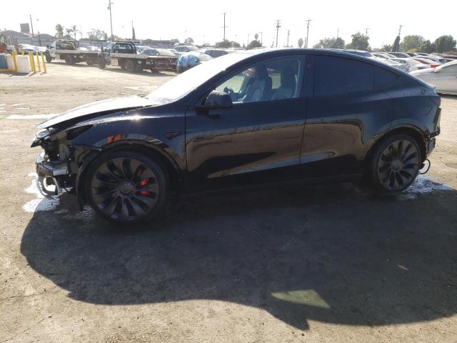 2023 TESLA MODEL Y  2023 image