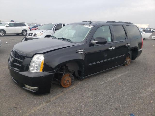 2011 CADILLAC ESCALADE PLATINUM 2011 image
