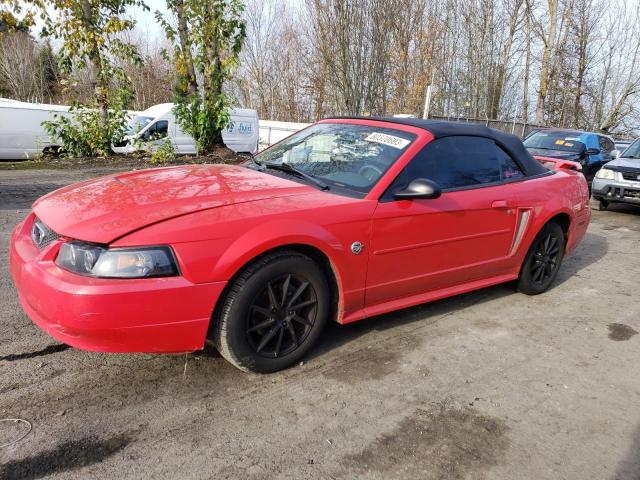 2004 Ford Mustang 2004 image