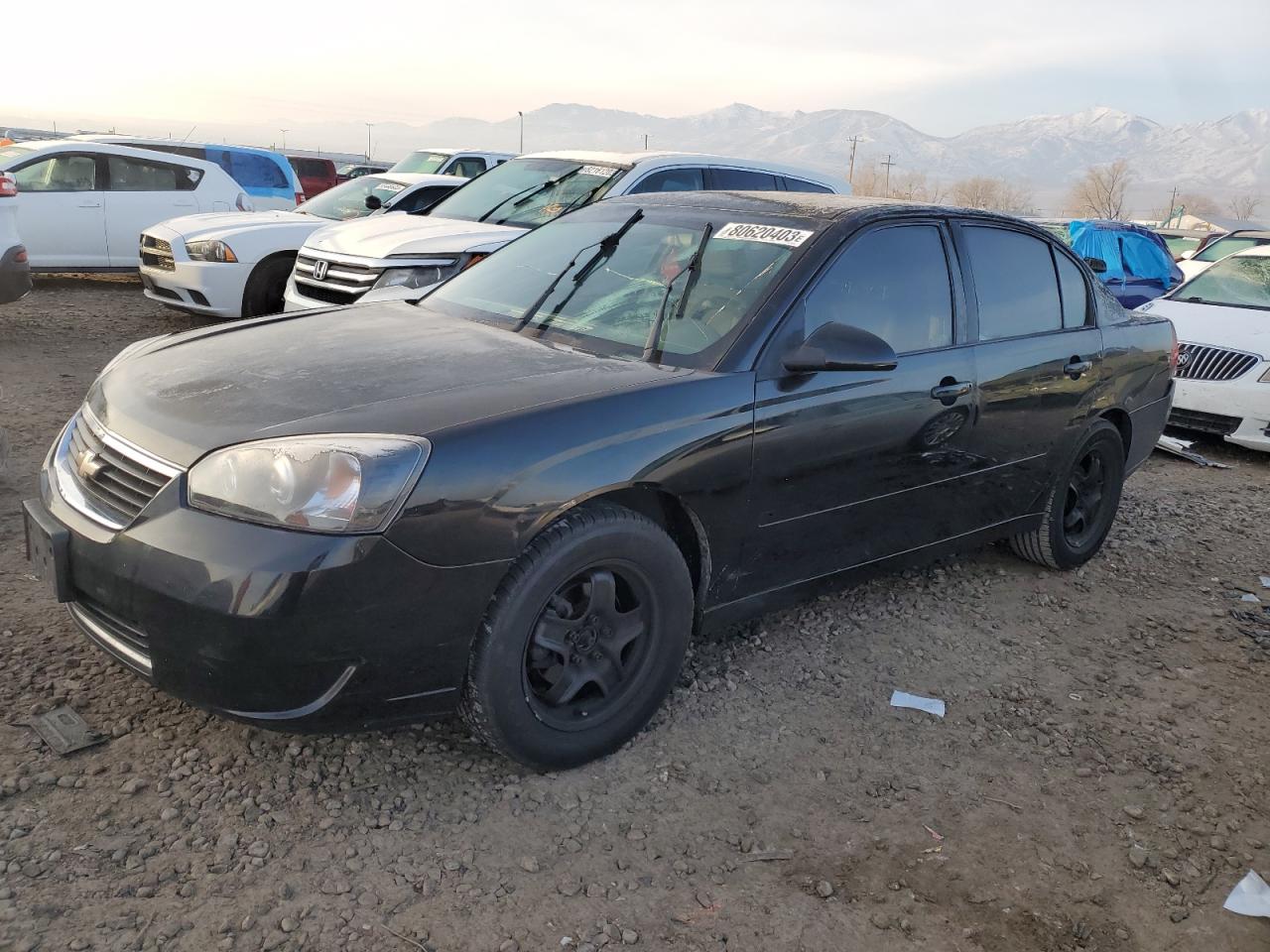 Image 1 of 2006 CHEVROLET MALIBU LT 2006 with VIN 1G1ZT51F06F192176