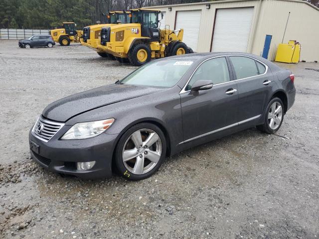 2010 LEXUS LS 460 2010 image
