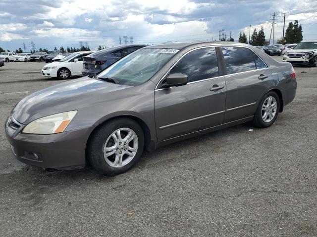 2006 HONDA ACCORD EX 2006 image