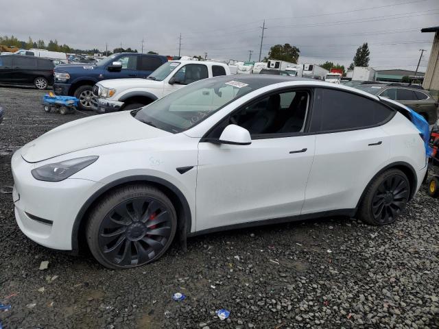 2022 TESLA MODEL Y  2022 image