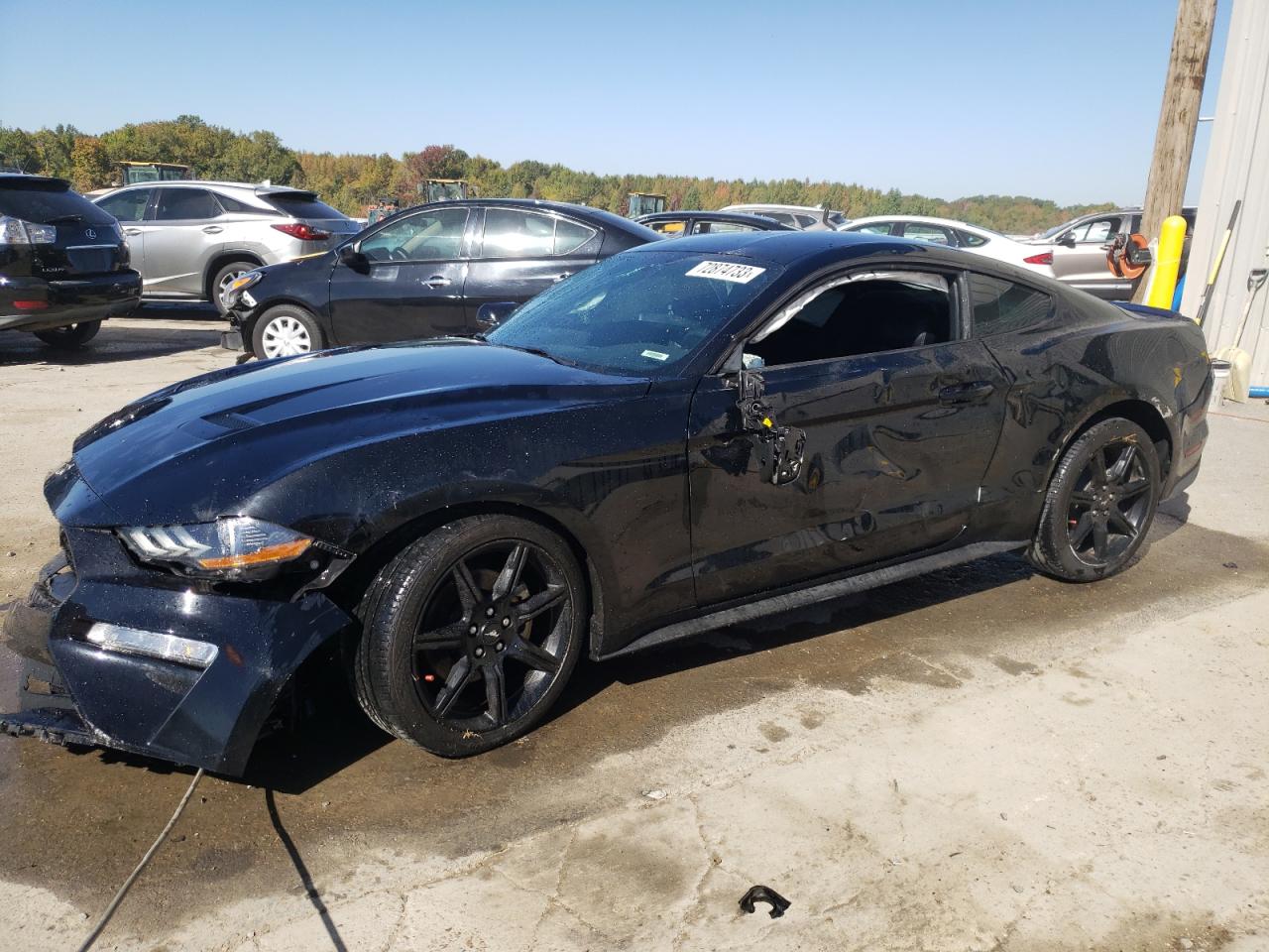 Image 1 of 2019 FORD MUSTANG  2019 with VIN 1FA6P8TH9K5105590