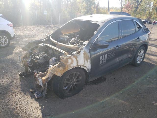 Obraz 2020 FORD ESCAPE SE 2020
