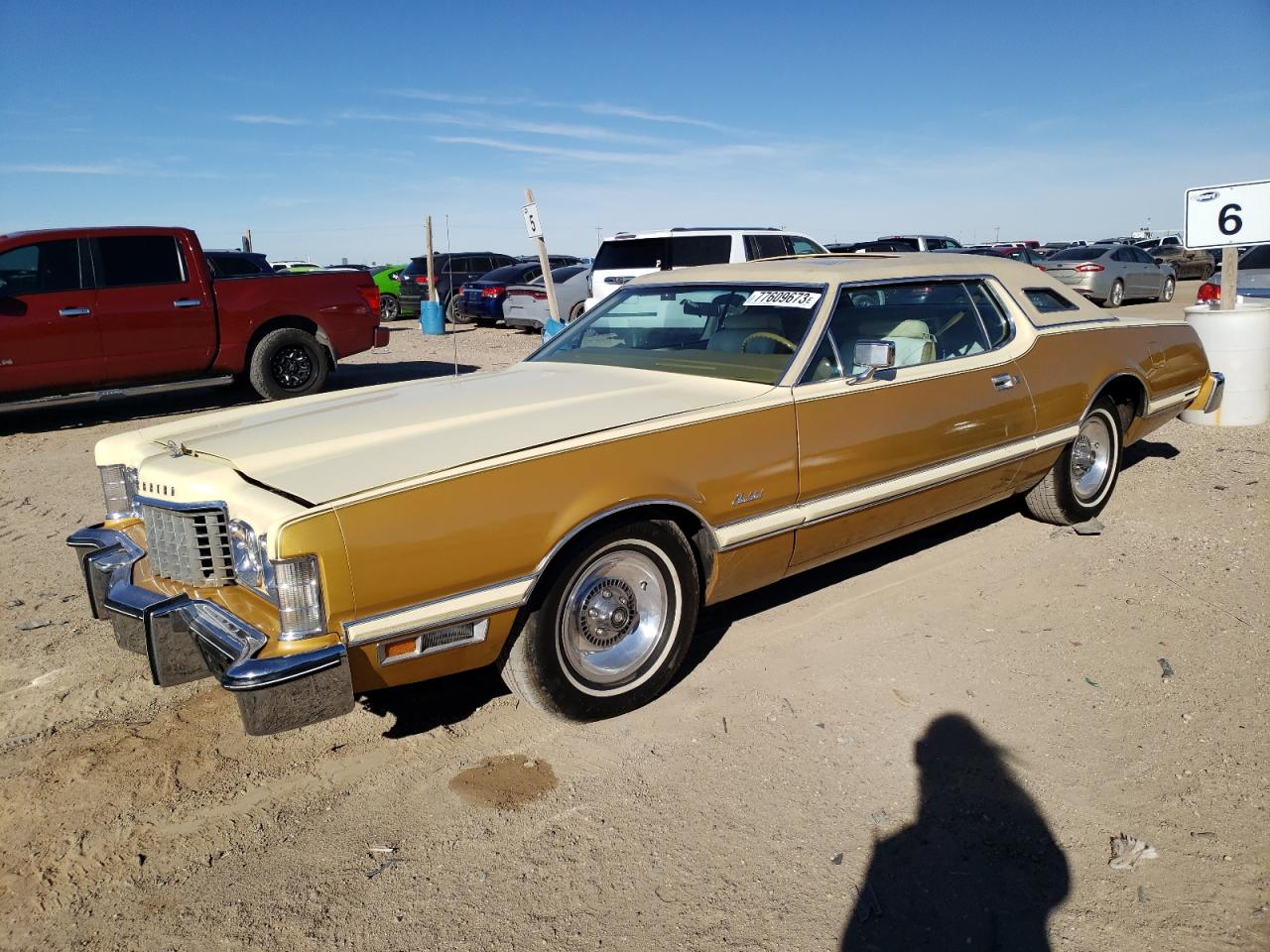 Изображение 1976 FORD THUNDERB 1976