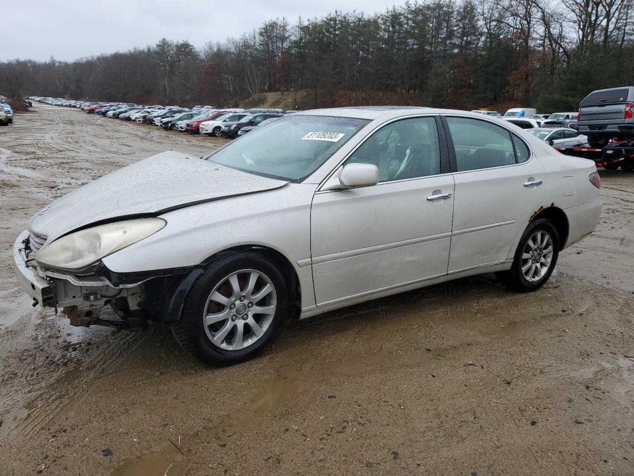 2003 LEXUS ES 300 2003 image