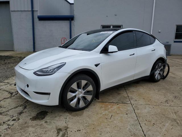 2021 TESLA MODEL Y  2021 image