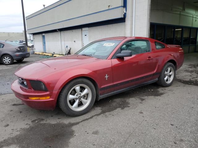 2007 Ford Mustang 2007 image