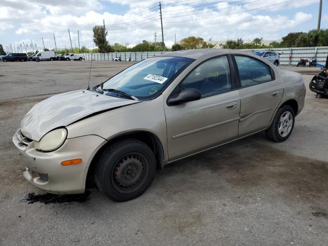 2002 DODGE NEON  2002 image