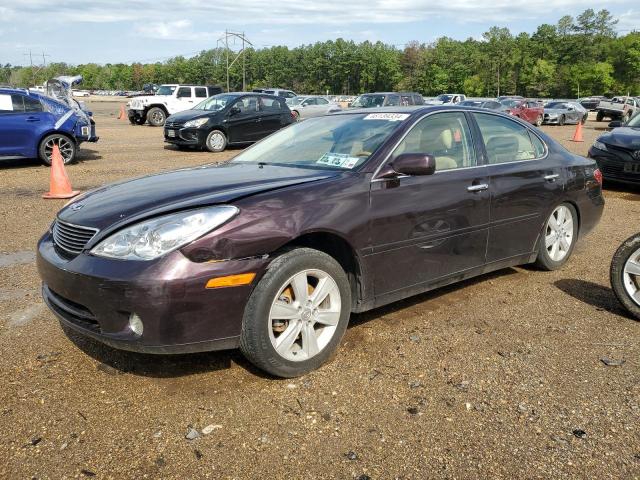 2005 LEXUS ES 330 2005 image