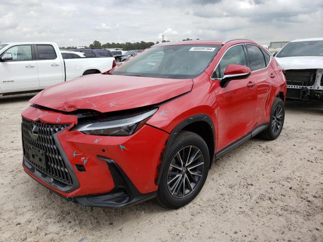 2024 LEXUS NX 250 PREMIUM 2024 image