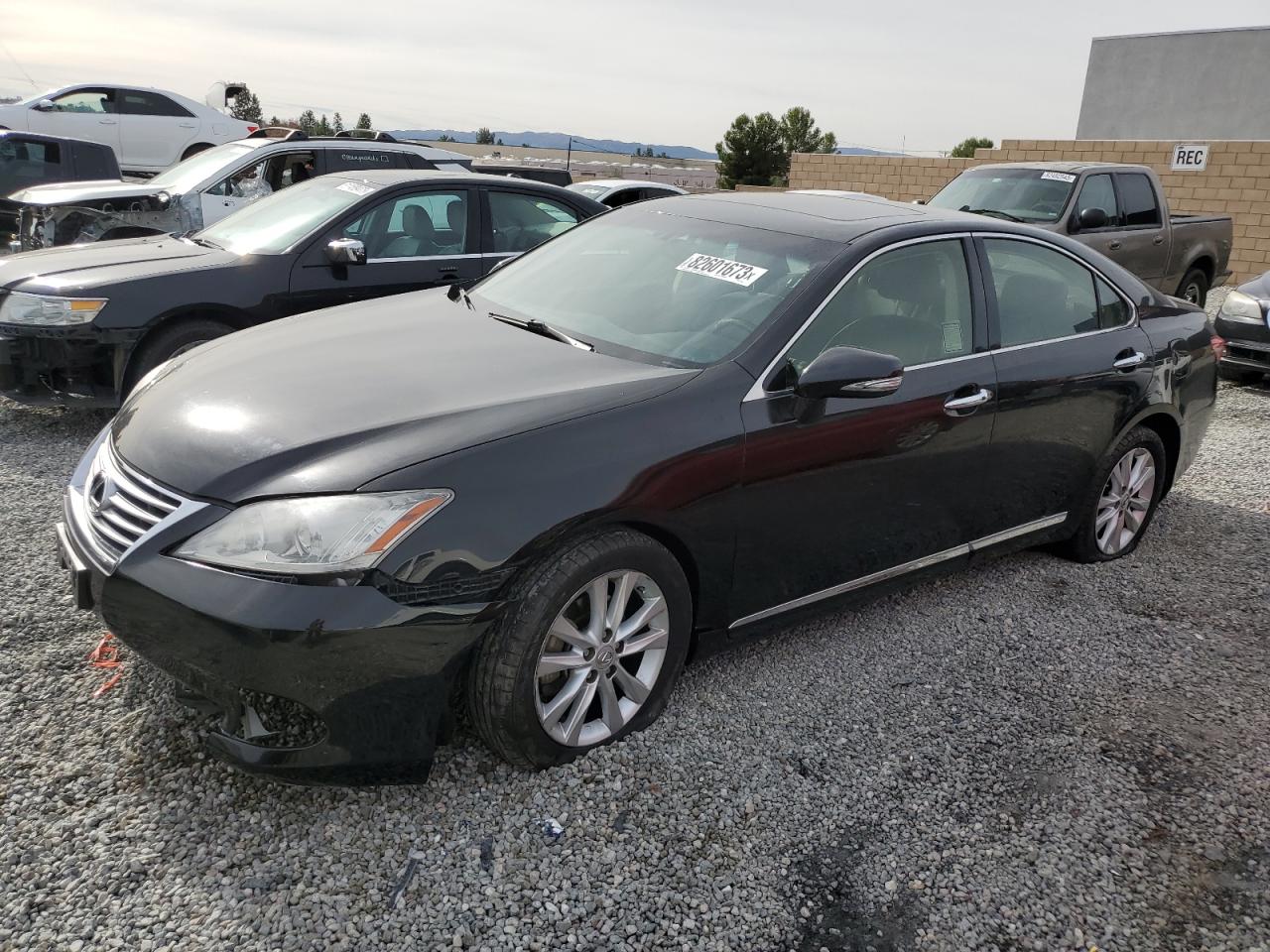 Obraz 2012 LEXUS ES 350 2012