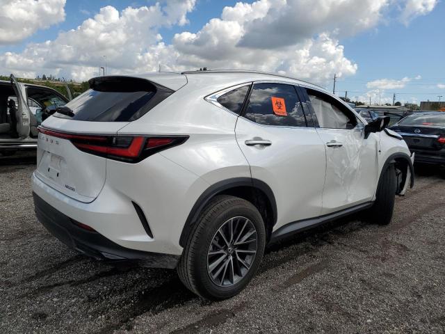 Image 3 of 2024 LEXUS NX 250 BASE 2024 with VIN JTJADCAZ9R2008300