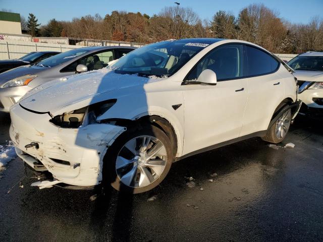 Изображение 1 2022 TESLA MODEL Y  2022 с VIN 7SAYGDEE3NF392283